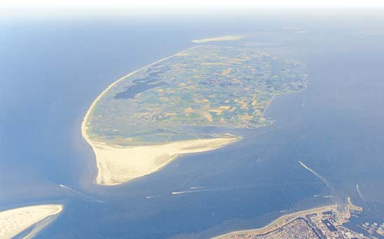 Texel